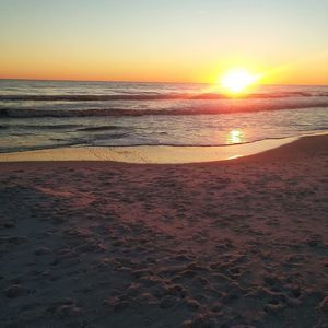 Meet your Posher, Sandy